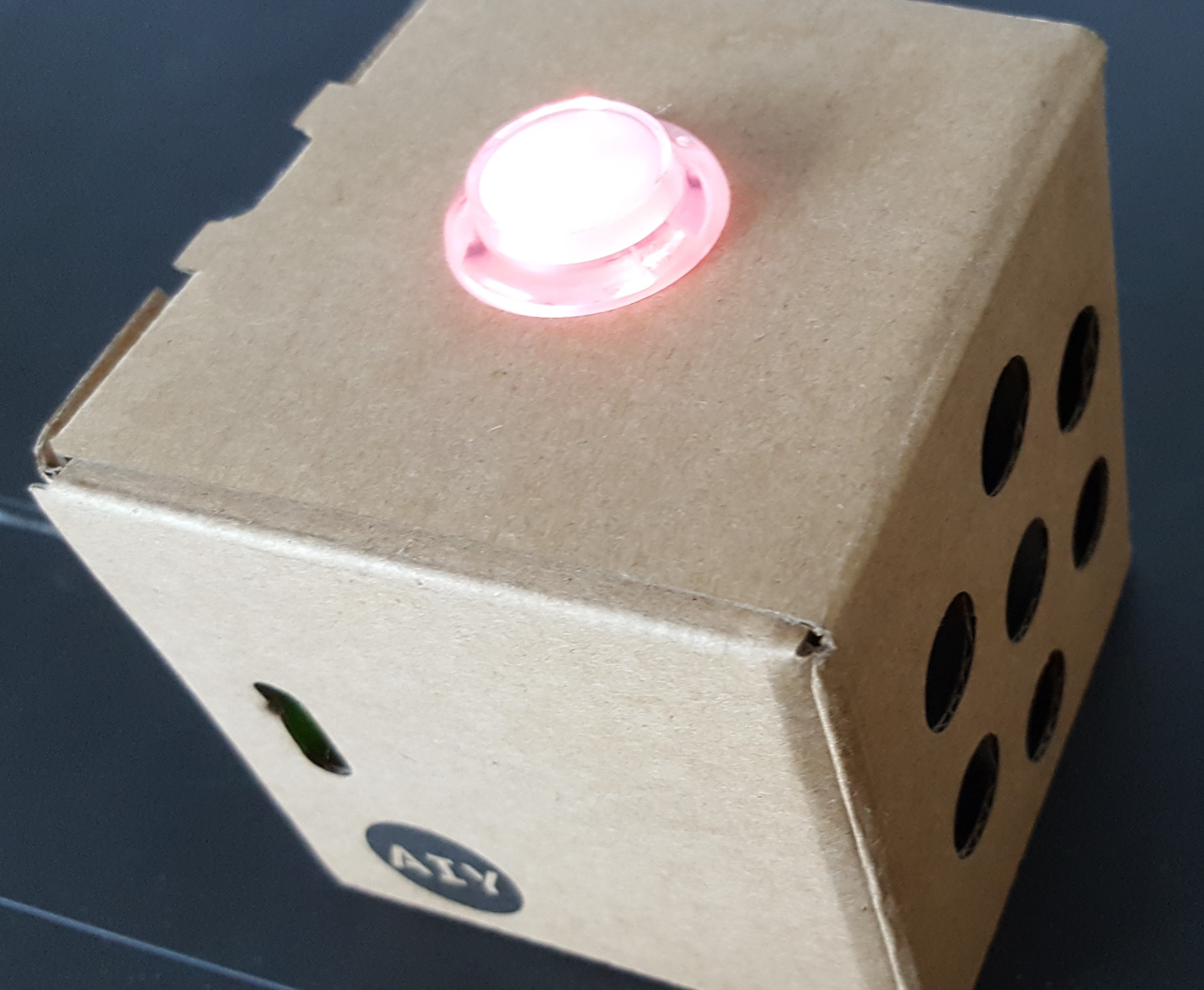 Google AIY Voice Kit Assembled
